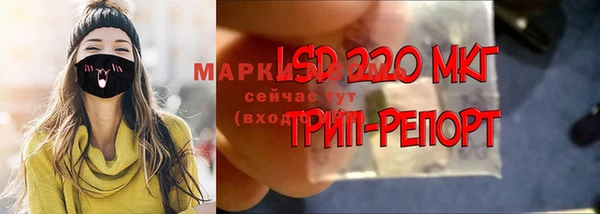 СК Заволжск