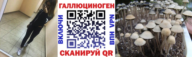 Псилоцибиновые грибы мицелий Канаш
