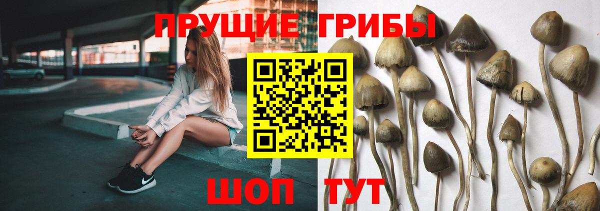 Галлюциногенные грибы GOLDEN TEACHER Канаш
